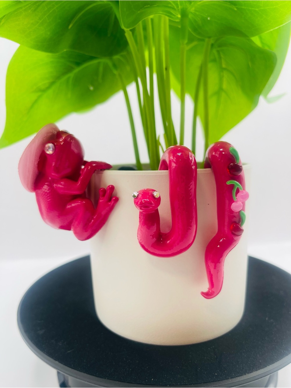 The “Southern Sass” Collection - Hanging Frog and Snake Plant Decor - Pot Buddy